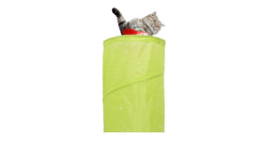 Tunel Interactivo Plegable Para Gatos