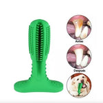 Pet Toothbrush Juguete Perro Para Morder